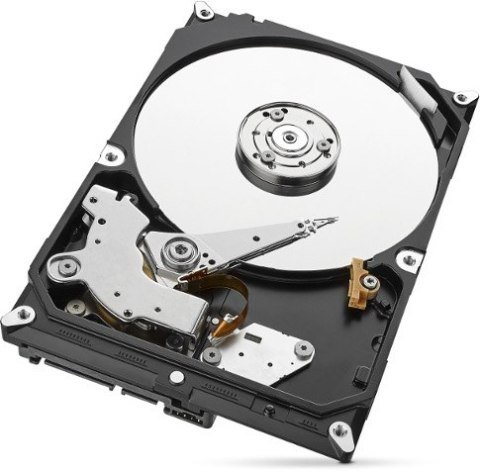 Dysk HDD Seagate SkyHawk ST1000VX005 1TB