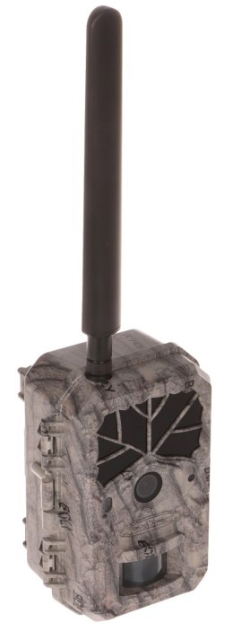 FOTOPUŁAPKA HC-BG636-48M BOLY