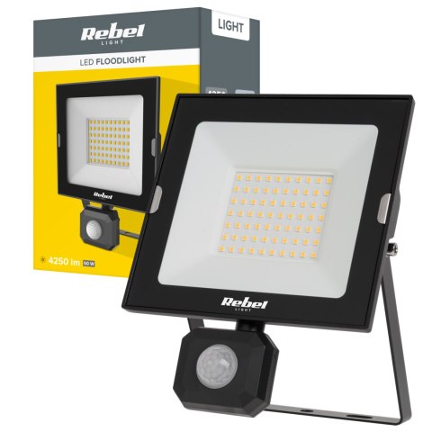 Reflektor LED naświetlacz Rebel 50W z sensorem zmierzchu i ruchu, 4000K, 230V