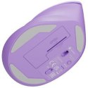 Mysz komputerowa Natec Crake 2 Pure Lavender 2400DPI bezprzewodowa