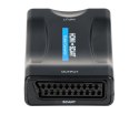KONWERTER HDMI/SCART Delta Multimedia