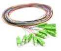 12X PIGTAIL SC/APC SM G657A2 GOLD zestaw 12x 2m