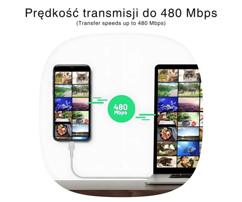 PRZEWÓD KABGC100PS200MG USB-C/USB-C PowerStream 2.0 m Green Cell