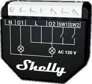 Shelly Wave 2PM