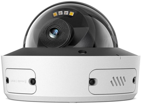 KAMERA TP-Link InSight S245(4mm)