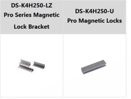 Hikvision DS-K4H250S