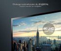 PRZEWÓD DISPLAYPORT Y-C607BK 4K @ 60 Hz, 1.5 m UNITEK