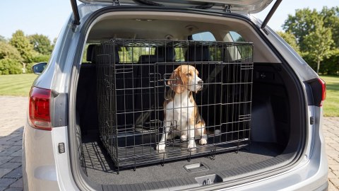 Metalowa klatka dla psa, kojec, rozmiar L 76x53x59 cm , REBEL ANIMALS