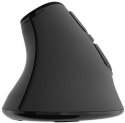 Mysz komputerowa Natec Euphonie Pro Bluetooth 5.0 4000dpi programowalna czarna