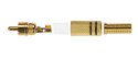 WTYK CINCH-W MET-V2