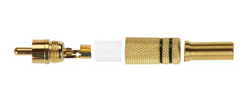 WTYK CINCH-W MET-V2