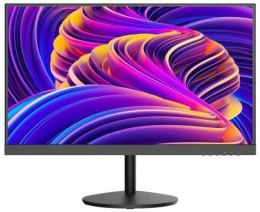 Monitor 22