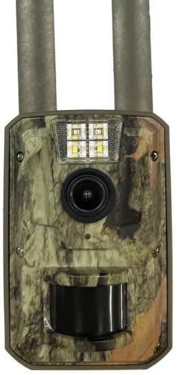 Fotopułapka - Kamera leśna - Orllo Huntercam 5 GSM