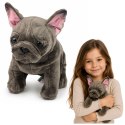 Pluszowa Maskotka Przytulanka Piesek Buldog Francuski Brązowy 22 cm
