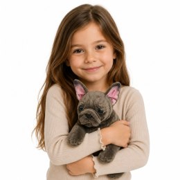 Pluszowa Maskotka Przytulanka Piesek Buldog Francuski Brązowy 22 cm