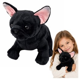 Pluszowa Maskotka Przytulanka Piesek Buldog Francuski Czarny 22 cm