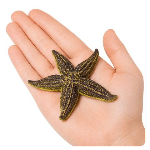 Rozgwiazda Gumowa Figurka Rozciągliwa Realistyczna Zwierzę Morskie 9,5 cm