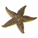 Rozgwiazda Gumowa Figurka Rozciągliwa Realistyczna Zwierzę Morskie 9,5 cm