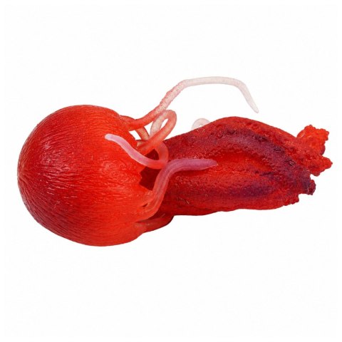 Gumowa Figurka Meduza Rozciągliwa Realistyczna Zwierzę Morskie 9 cm