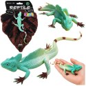 Jaszczurka Agama Żaglowa Gumowa Figurka Rozciągliwa Realistyczna 16 cm