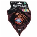 Pająk Ptasznik Gumowa Figurka Rozciągliwa Realistyczna 12 cm