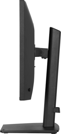 Monitor LED IIYAMA XB2491H-B1 HDMI DisplayPort IPS 120HZ 1ms HAS PIVOT