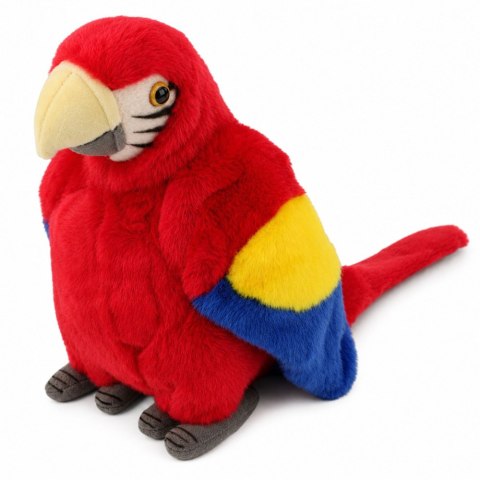 Pluszowa Papuga Ara Ptak Egzotyczny Maskotka Przytulanka Czerwona 24 cm