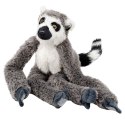 Pluszowy Lemur Maskotka Przytulanka Łapki Z Rzepami Do Zawieszenia 50 cm