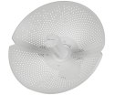 STACJA KLIENCKA RG-AIRMETRO460F 5 GHz, 2.4 GHz REYEE