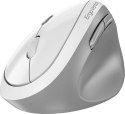 Mysz bezprzewodowa Genius Ergo 8350S biała, 2400DPI